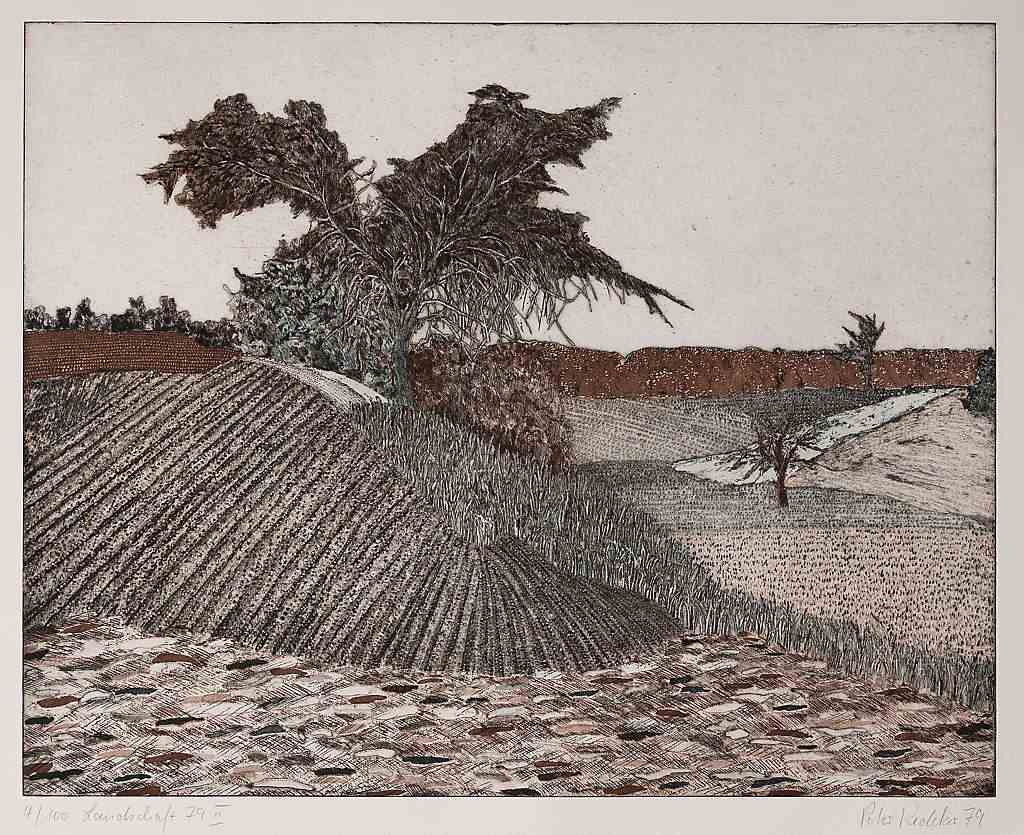Landschaft 79 II
