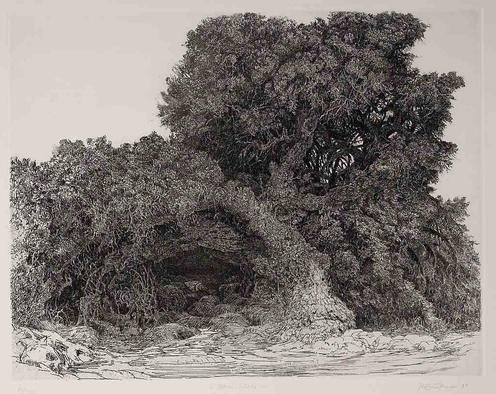 Baumhöhle