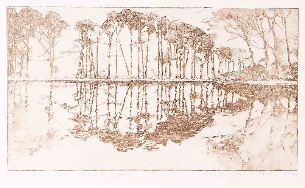 Clemenswerth Spiegelung