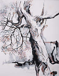 Michael Schreiber